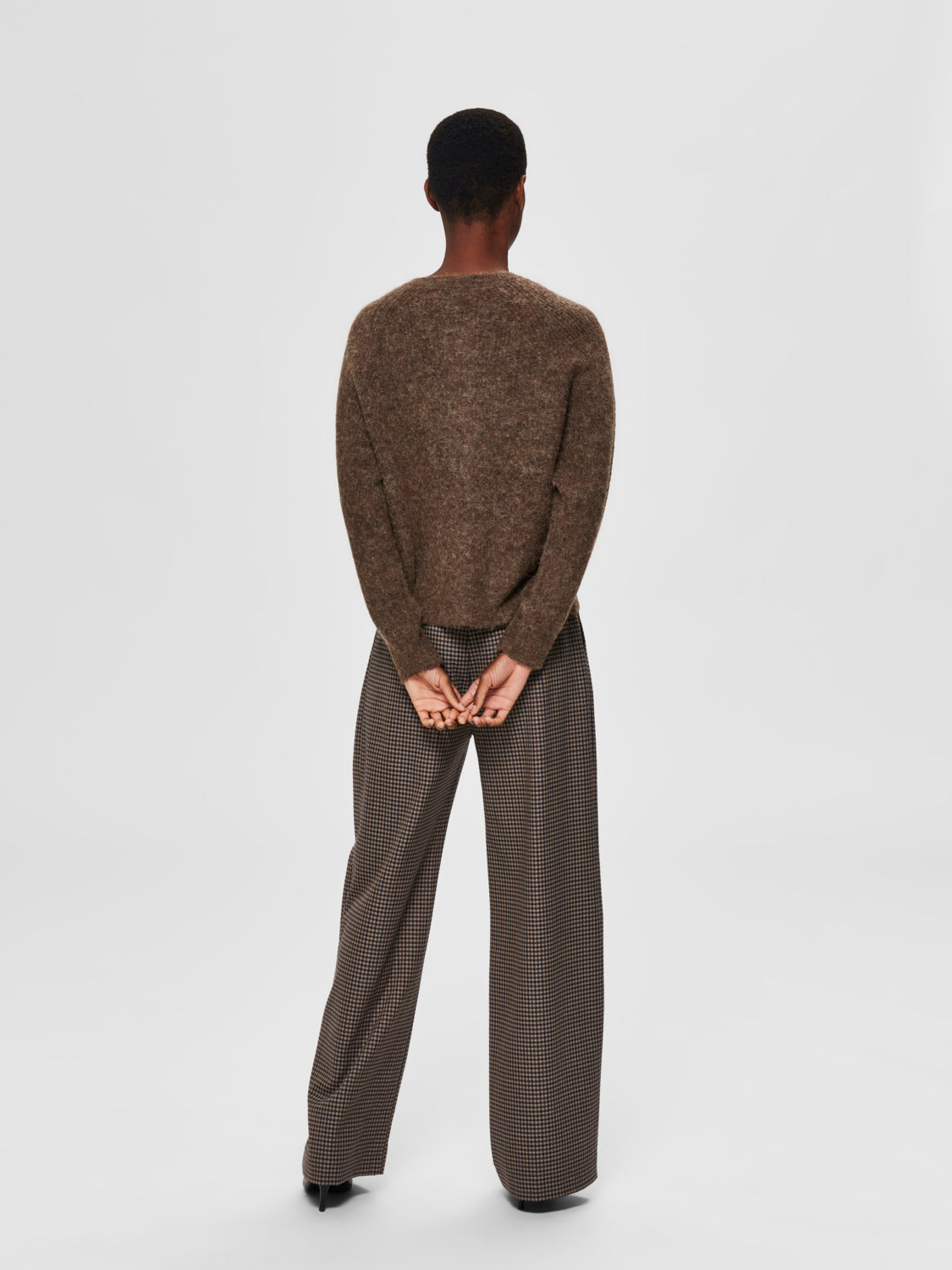 SLFLULU Cardigan - dachshund